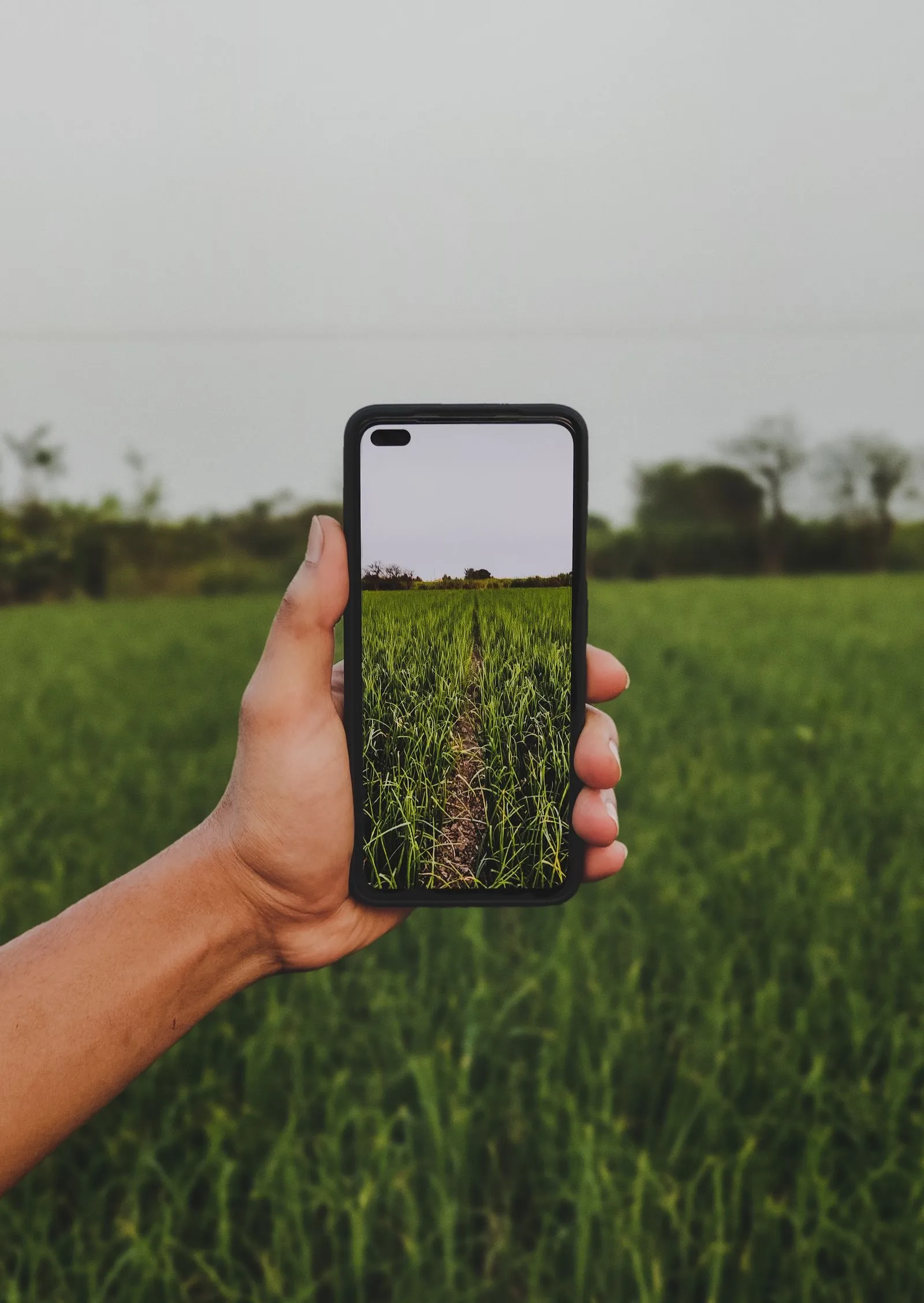 AI in Agriculture - The Future of Farming